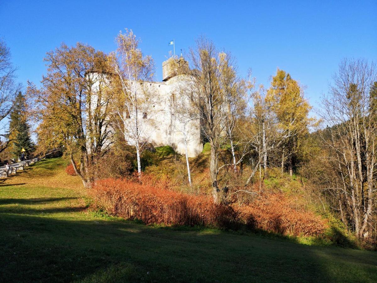 Borowikowe Zacisze Falsztyn